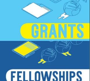imanna fellowships emerging leaders jobsandschools